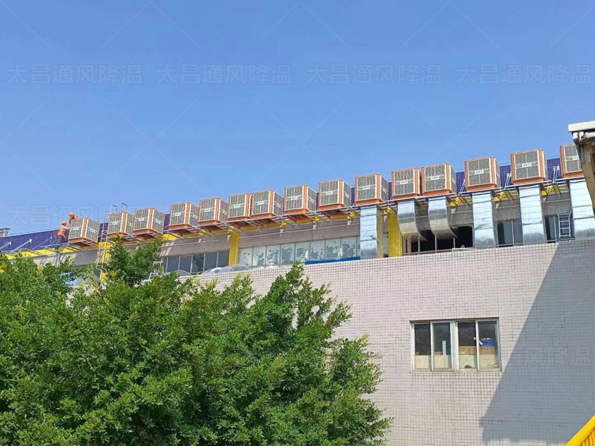 鐵皮廠房如何降溫，來這里了解更多方案