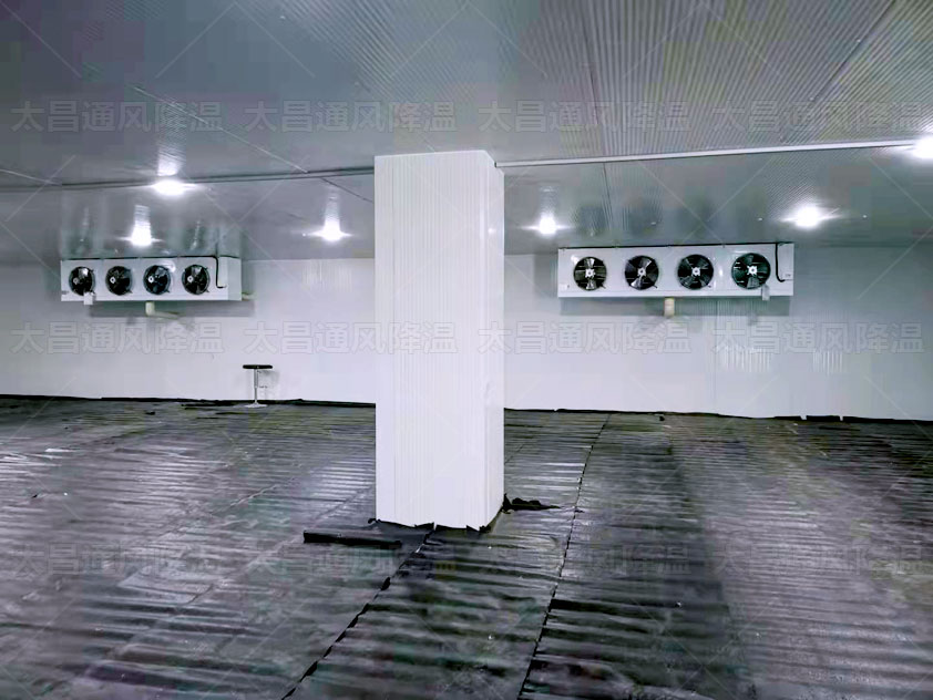 生鮮冷庫、物流冷庫冷鏈為農產品保駕護航