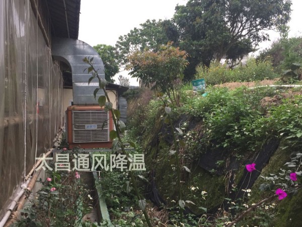 天氣太熱?環(huán)?？照{(diào)為你的餐廳守護(hù)清涼